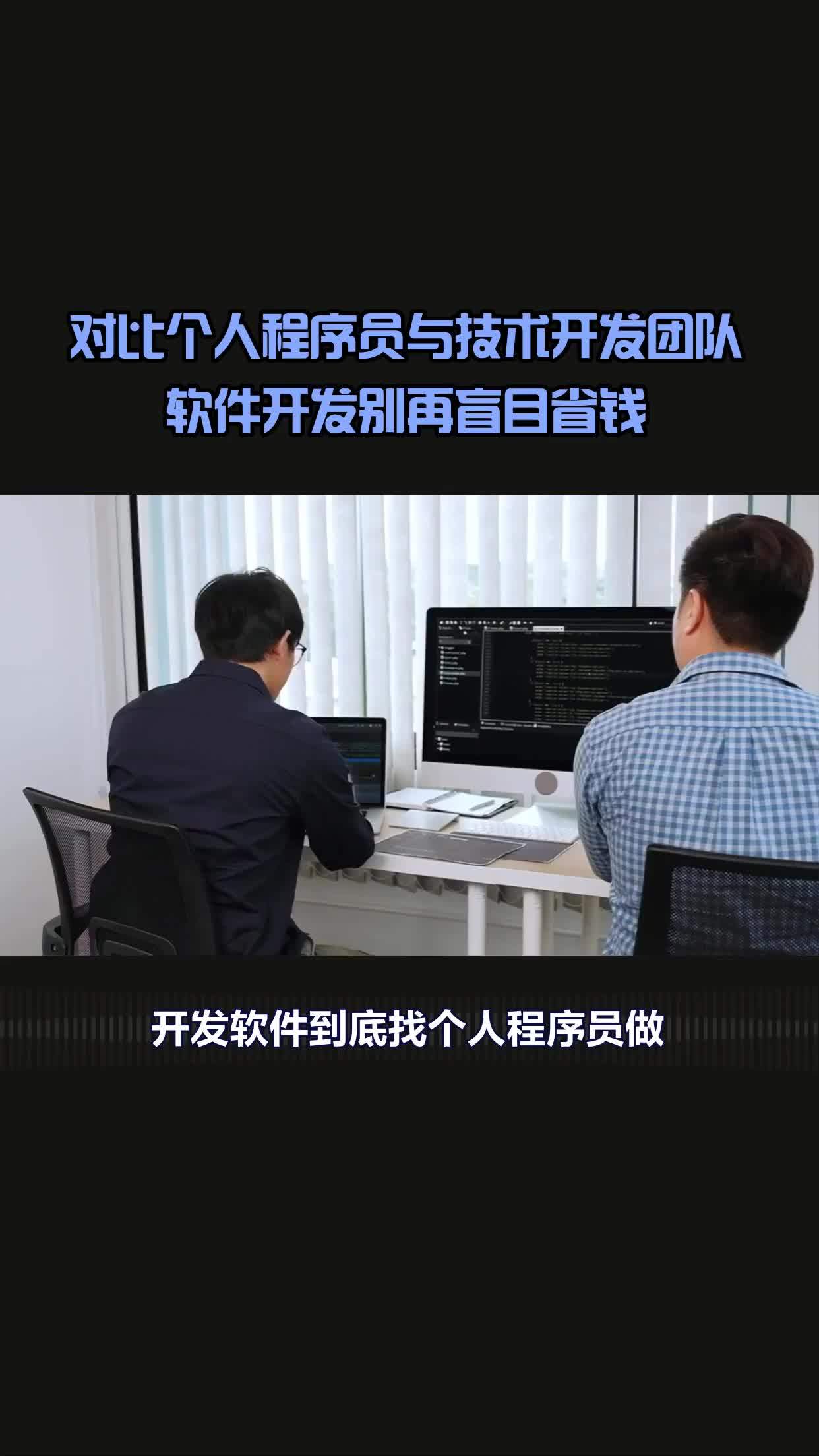 別再盲目省錢 個人程序員與軟件開發團隊的深度對比與選擇策略